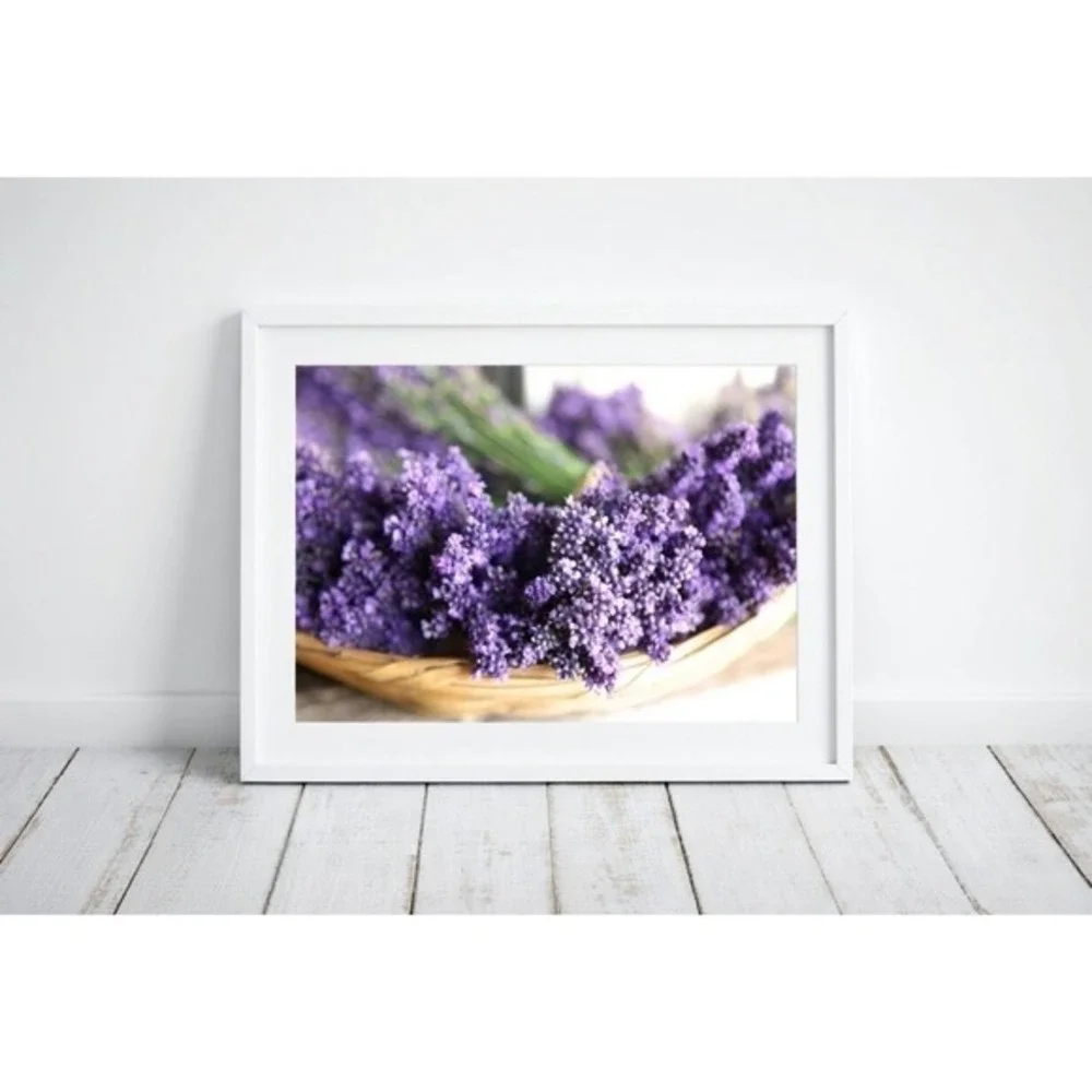 Lavender Floral Photography Framed Wall Art Purple Botanical Print Size 5x7